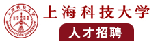 鸡插逼高清视频