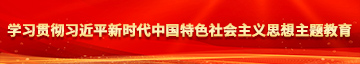 爆插小姐骚逼学习贯彻习近平新时代中国特色社会主义思想主题教育